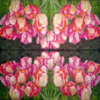 118 Tulpen - 3-lagig - Ambiente